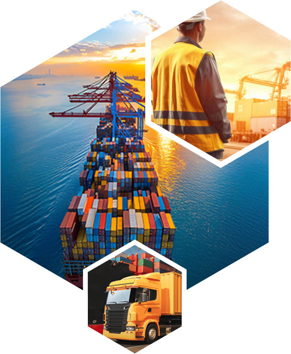 IMS-Tunisie - Qui sommes-nous ?